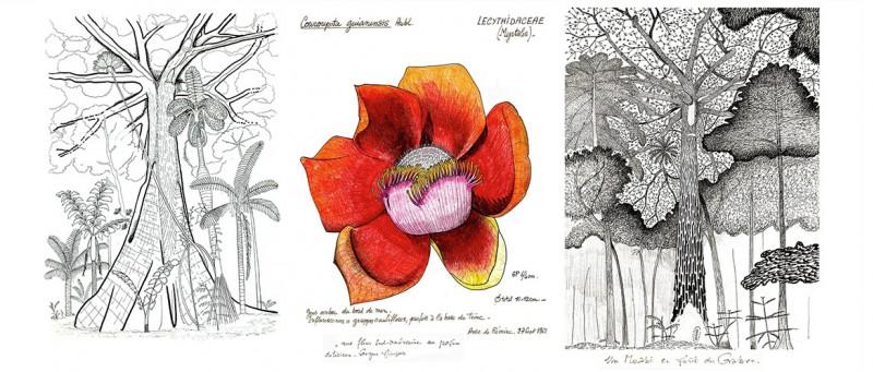 presentation-de-l-association-arborescences